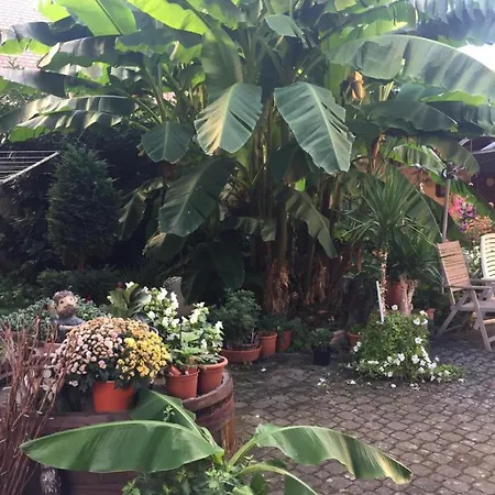 Haus Gisela * Endingen am Kaiserstuhl