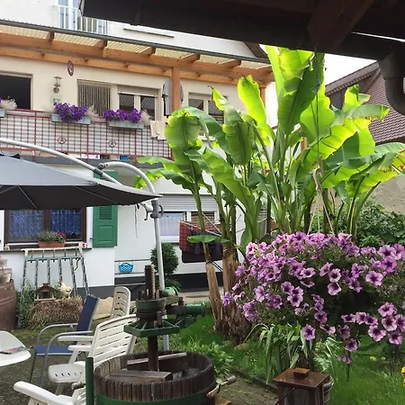 Apartment Haus Gisela *
